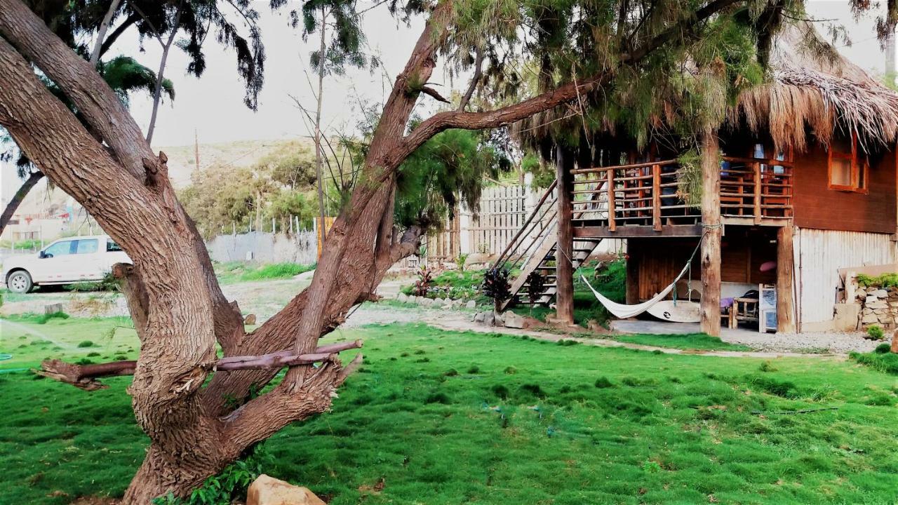 מלון מנקורה Puerto "Te" מראה חיצוני תמונה